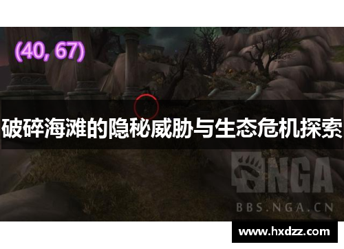 破碎海滩的隐秘威胁与生态危机探索 破碎海滩的隐秘威胁与生态危机探索